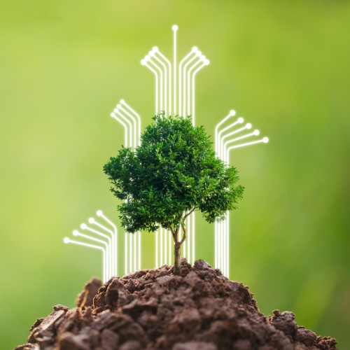 CCIAA VI - transizione digitale ecologica 2025