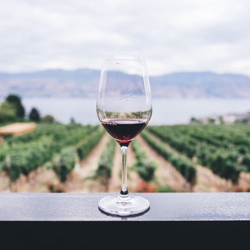 INTERVENTO SETTORIALE PER LA PROMOZIONE DEL VINO SUI MERCATI DEI PAESI TERZI - CAMPAGNA 20252026